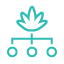 Cannabis-Strain-Type