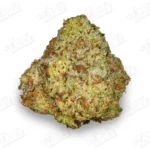 Gelato Strain (Mid-Premium)