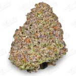 Ice Cream Cake Strain (Mid-Premium)