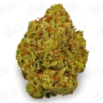 Moon Cake Strain-1