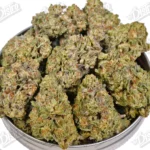 OG strain 2