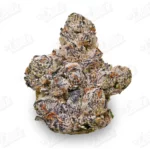 Dream Puff Strain (Top Shelf)