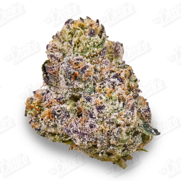 Rainbow Kush Strain (Zaza Exotic)