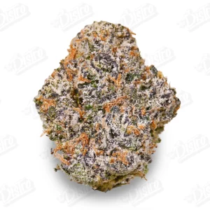 Lemon Lava Strain (Zaza Exotic)