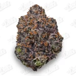 Black Gumbo (Top Shelf)