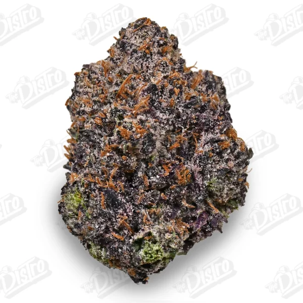 Black Gumbo (Top Shelf)