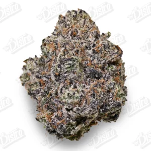 Skywalker OG (Top Shelf)