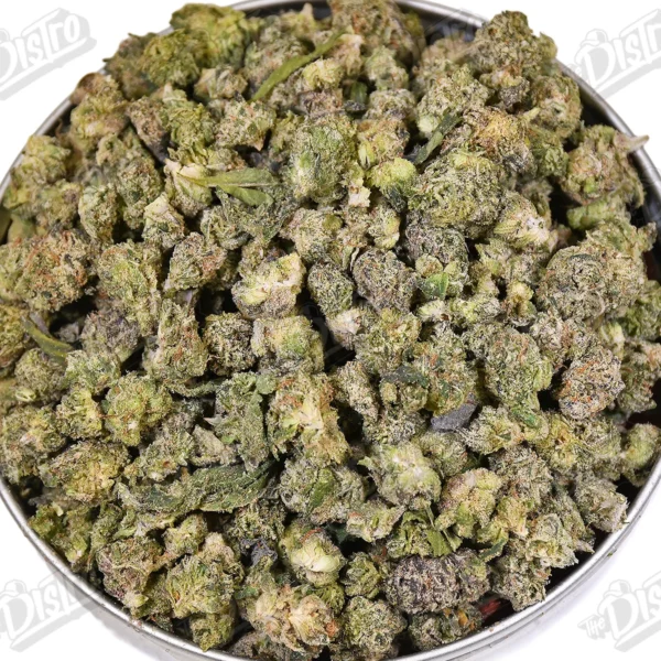 Zour Belt (Micro/Smalls)