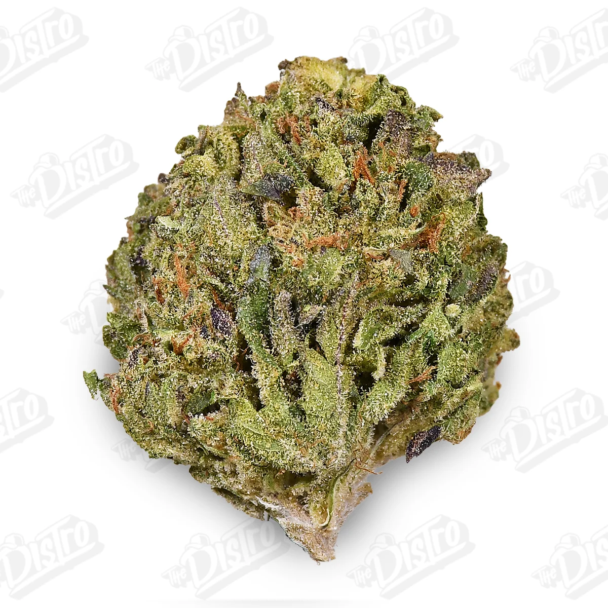 Indigo Nigiri (Value) - 1