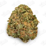 Rebel OG (Value)