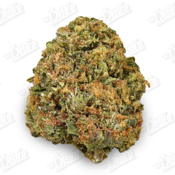 Rebel OG (Value)