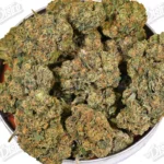 Rebel OG (Value)