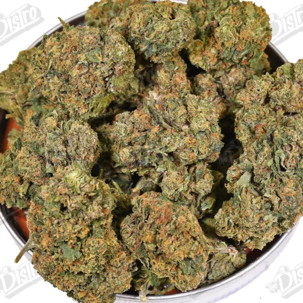 Rebel OG (Value)