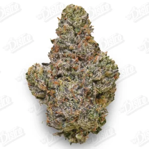 Maui Wowie (Mid-Premium)