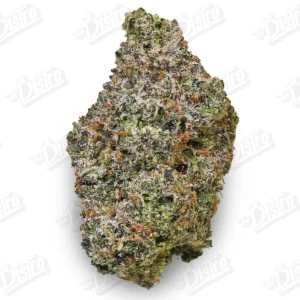 LemonHead 'Med/Smalls' (Mid-Premium)