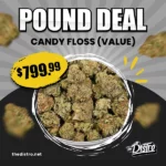 Pound Deal Candy Floss 'MedSmalls' (Value) The Distro