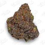 Build Your Own Premium QP