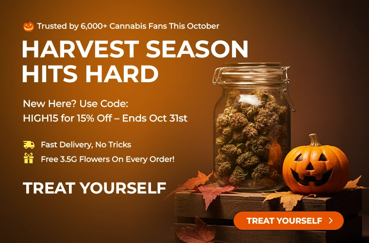 DS - Halloween Banner webp