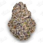 Jelly Roll (Top-Shelf)