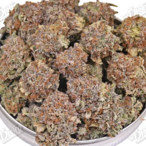 Purple Platinum (Mid-Premium) -2