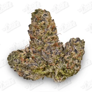 Candy Popper (Mid-Premium)