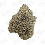 Candy Guava (Top Shelf)