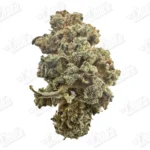 Gorilla Glue (Value)