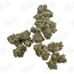 Gorilla Glue (Value)