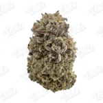 Platinum Gelato (Value)