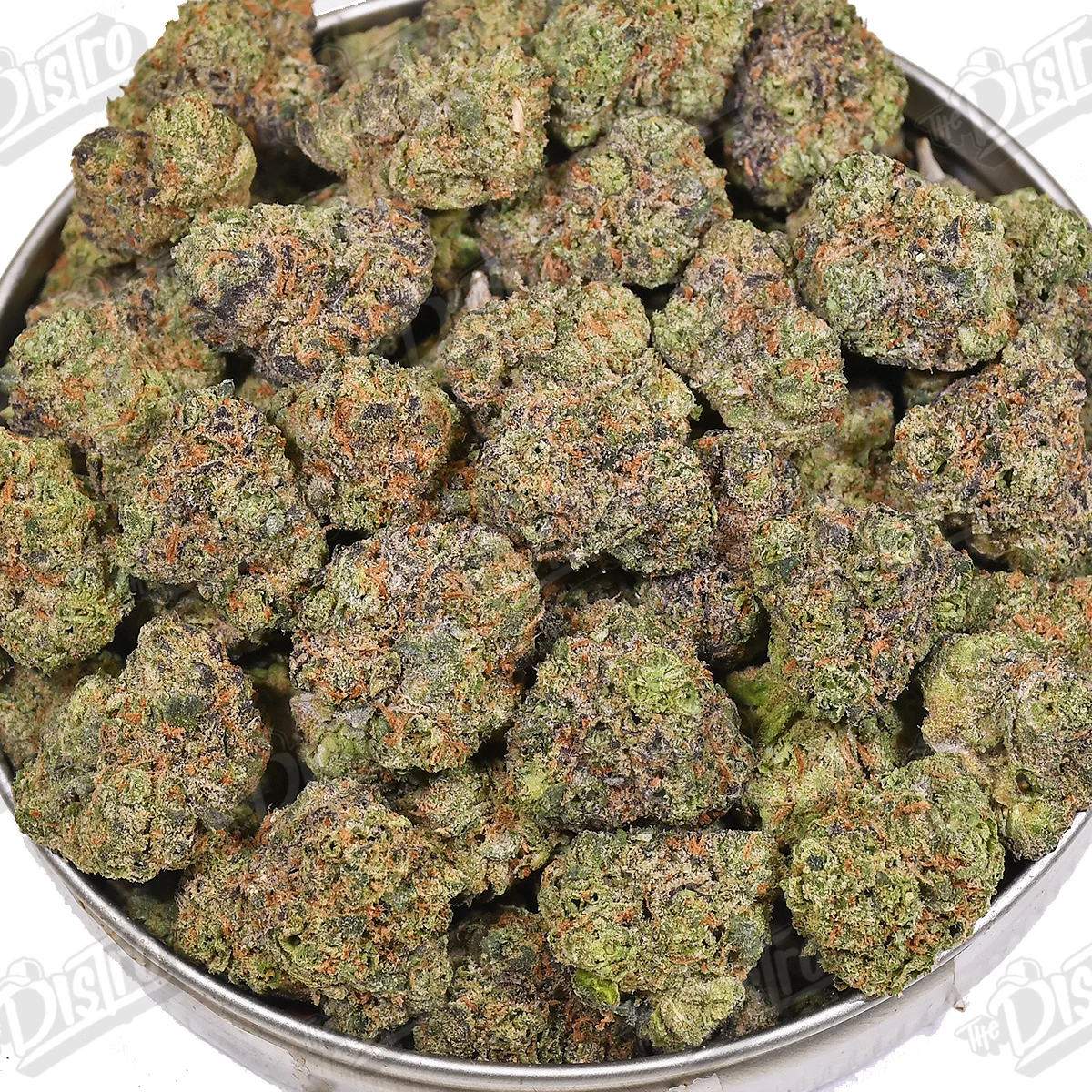 Grand Daddy Purple 'Med/Smalls' (Value)