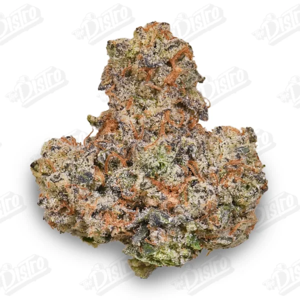 March Madness QP Deal