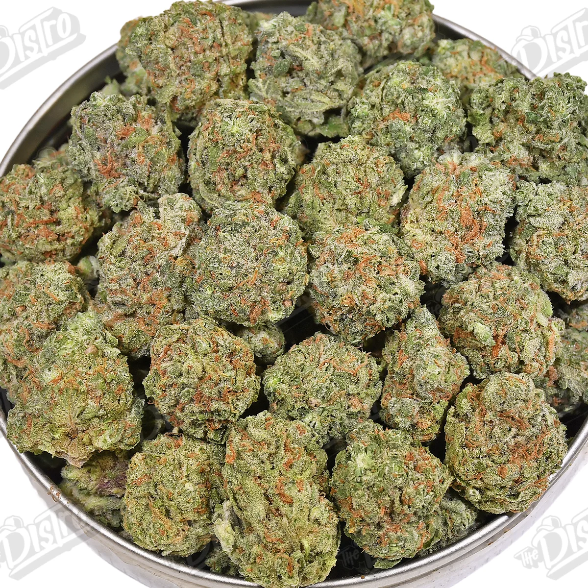 Gary Payton 'Med/Smalls' (Value)