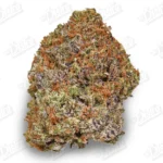 March Madness QP Deal