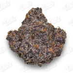 March Madness QP Deal