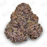 March Madness QP Deal