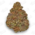 March Madness QP Deal