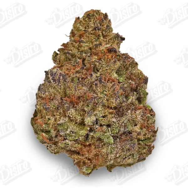 March Madness QP Deal