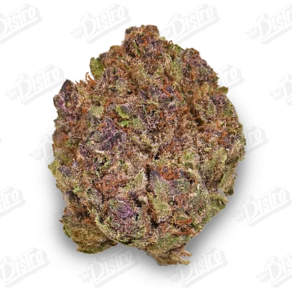 March Madness QP Deal