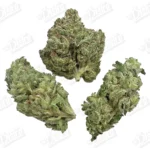 Super Glue (Top Shelf)