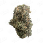 Blue Dream (Top-Shelf)