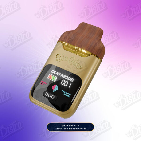 Big Chief All In One Liquid Diamonds V2 (2g) - Italian Ice X Rainbow Nerdz