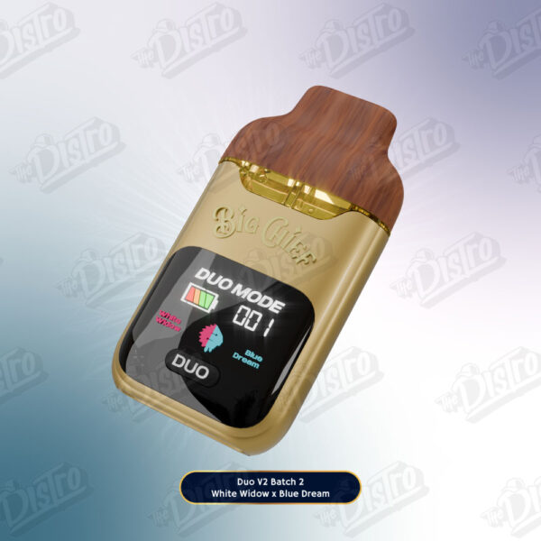 Big Chief All In One Liquid Diamonds V2 (2g) - White Widow X Blue Dream