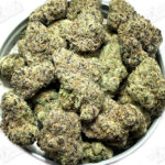 Bubblegum Candy (Exotic)