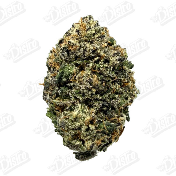 Galactic Warhead (Top-Shelf)