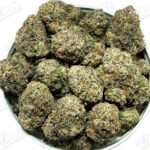 Galactic Warhead (Top-Shelf)