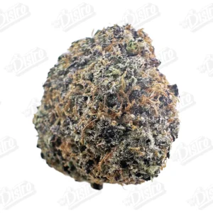 Gelatti (Zaza Exotic)