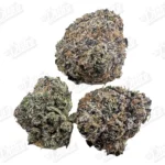 Gelatti (Zaza Exotic)