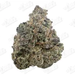 Pink Rozay (Zaza Exotic)