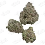 Pink Rozay (Zaza Exotic)