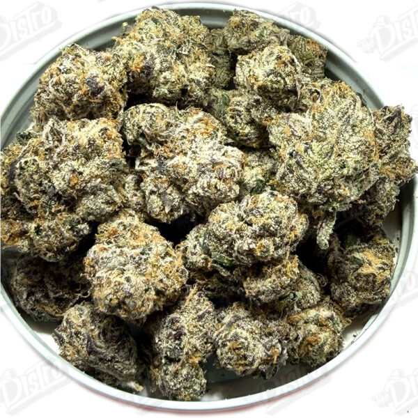 Purple Gusher (Exotic)